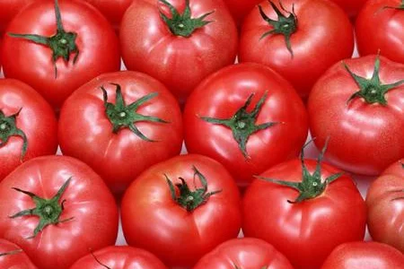 Купуємо помідори оптом! Київ та область