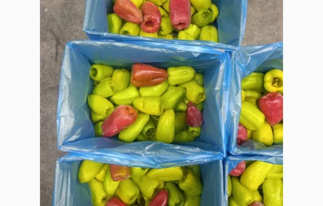 Перець тріо Здоровий Продукт цілий свіжоморожений