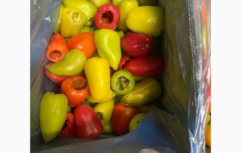 Продам перець морожений в асортименті