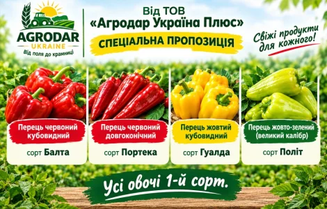 Перец сладкий «Клаудио f1»