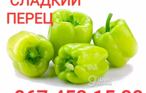 Куплю перец на переробку