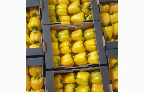 Продам перець