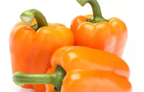 Продам перец болгарский сладкий оранжевый из Египта экспорт