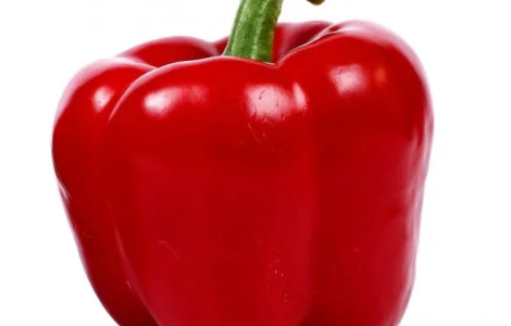 Продам перец болгарский сладкий красный из Египта экспорт