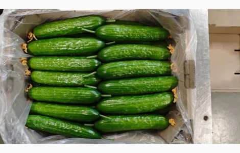Огірки тепличні (Україна)