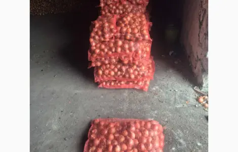Продам лук