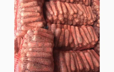 Купую моркву на постійній основі