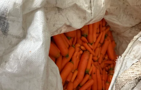 Продам морква 3 сорт мита