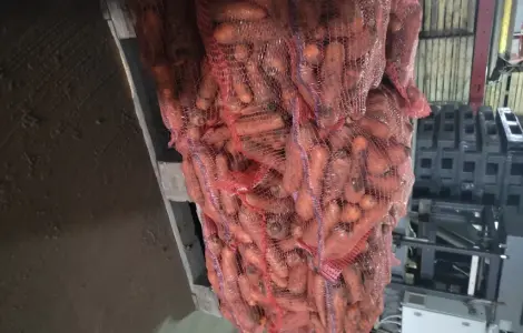 Продам морковь