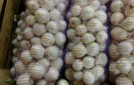 Продаєм білу цибулю