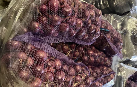 Продам цибулю синю Марс