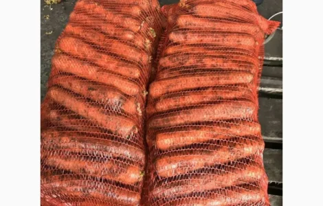 Продам морковь от Украинского поставщика