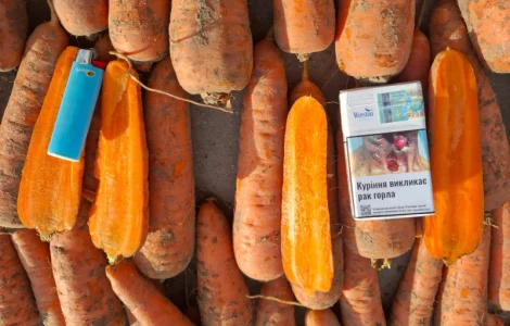 Продам Моркву Болівар