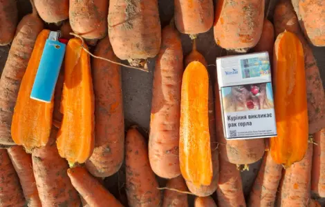 Продам Моркву Болівар