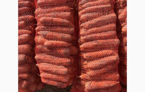 Продам моркву