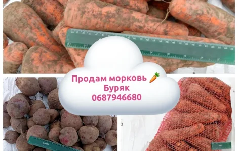 Продам морковь