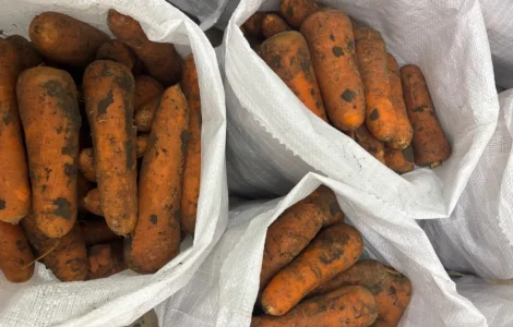 Продам моркву