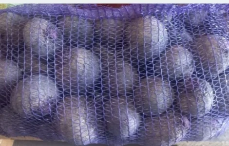 Продам моркву сорт балтімор.Буряк сорт водан зепо.Цибуля