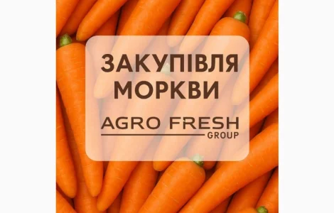 Закуповуємо моркву! ТОВ "Агрофреш груп"