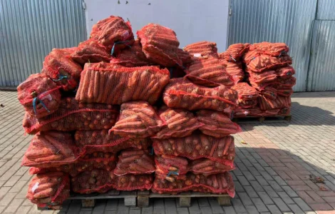 Продається морква