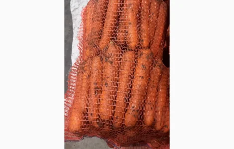 Продам моркву