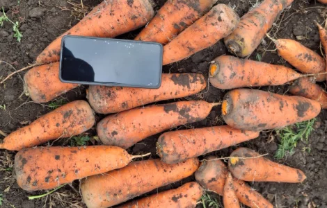 Гибрид каскад 5 гр