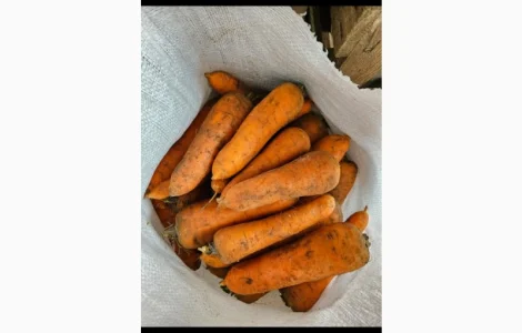 Продам моркву