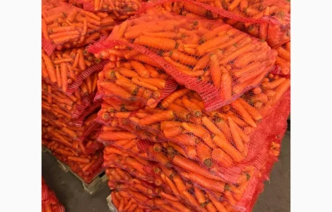 Продам моркву миту 2 сорту оптом від 10 тонн