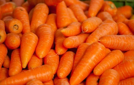 Купуємо моркву оптом! Київ та область