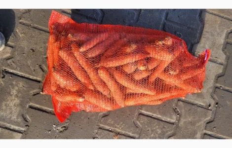 Продам моркву