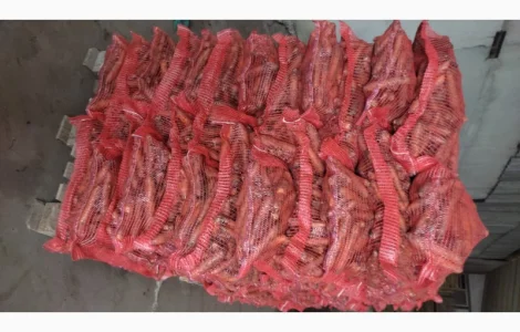 Продам моркву