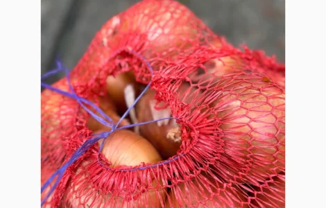 Продається цибуля