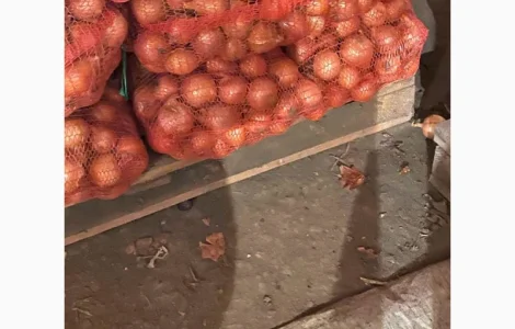 Продам лук от поставщиков с 10 тонн