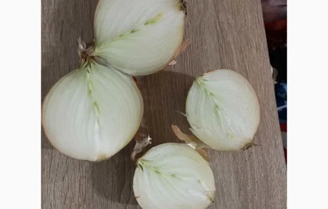 Продам лук продовольственный от производителя с 10 тонн