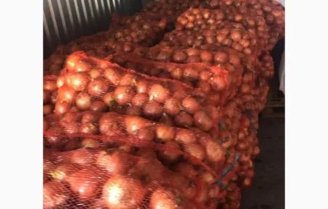 Продам лук от фермера. С 20 тонн. Цена договорная