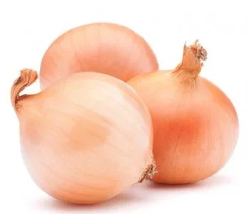 Купим лук товарный