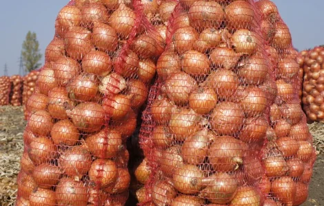 Продам цибулю