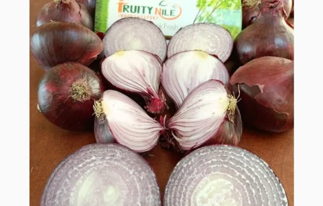 Продам цибулю червону