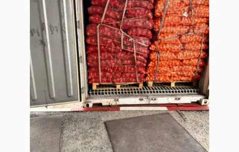 Продажа лука жёлтого