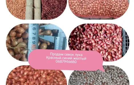 Продам арпаш лука