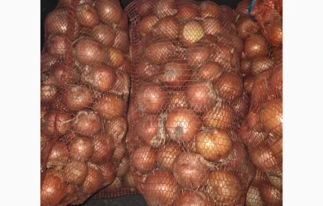 Продам Лук сорт Медуза