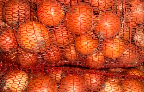 Продам цибулю сорт манас