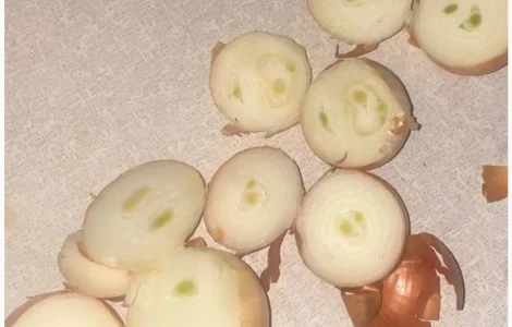 Продам лук на перо