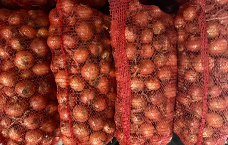 Продам цибулю нал