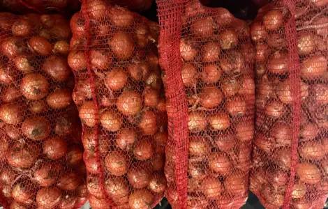 Продам цибулю нал