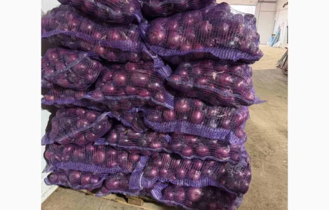 Продам лук марс синий