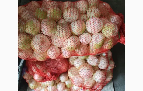 Продам цибулю чищену