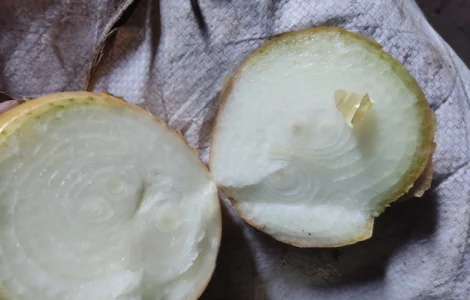 Продам Штутгарт