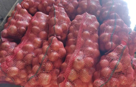 Продам цибулю