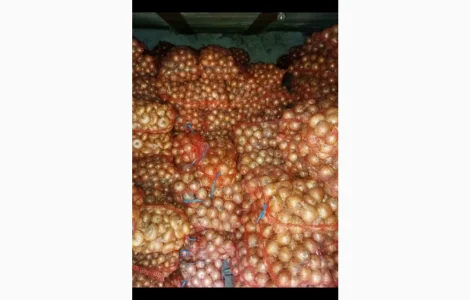 Продам цибулю